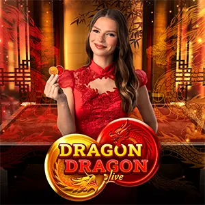 Dragon Dragon